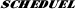 �X�P�W���[��